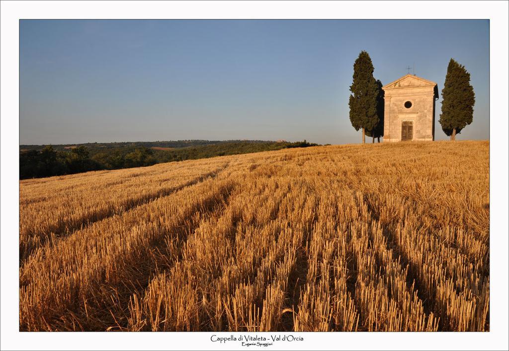 Casetta Del Pozzo Seggiano Стая снимка
