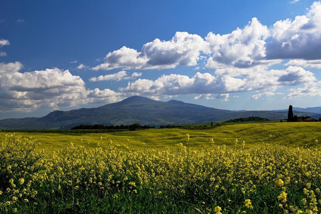 Casetta Del Pozzo Seggiano Стая снимка